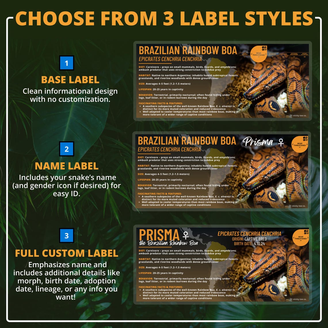 Custom Brazilian Rainbow Boa Label – Laminated Enclosure Tag for ...