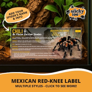 Custom Mexican Red-Knee Tarantula Label – Laminated Enclosure Tag for Brachypelma hamorii – 3 Customization Options