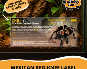 Custom Mexican Red-Knee Tarantula Label – Laminated Enclosure Tag for Brachypelma hamorii – 3 Customization Options
