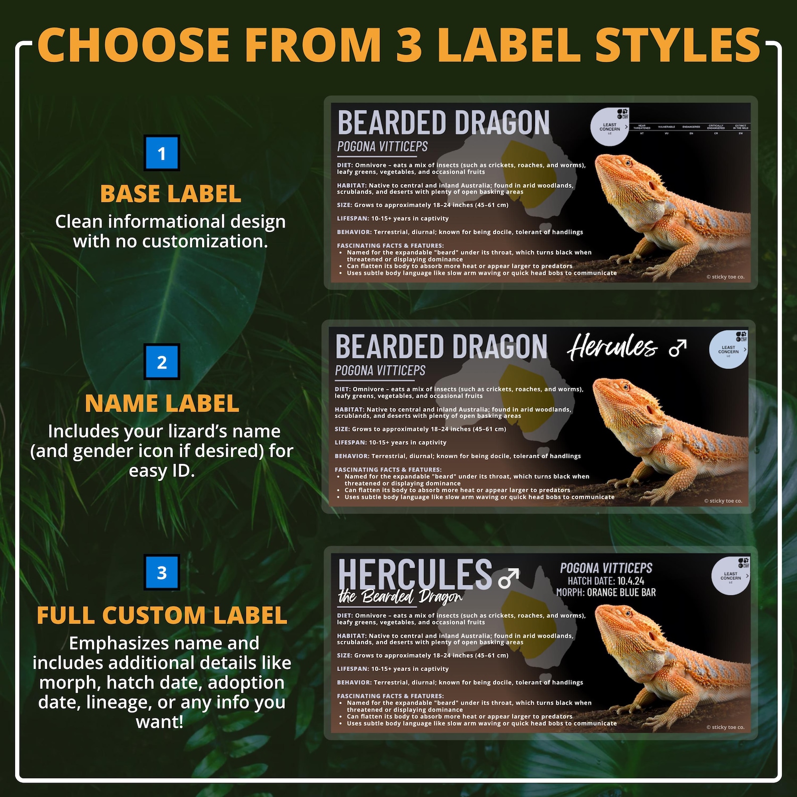 Custom Bearded Dragon Label – Laminated Enclosure Tag for Pogona ...
