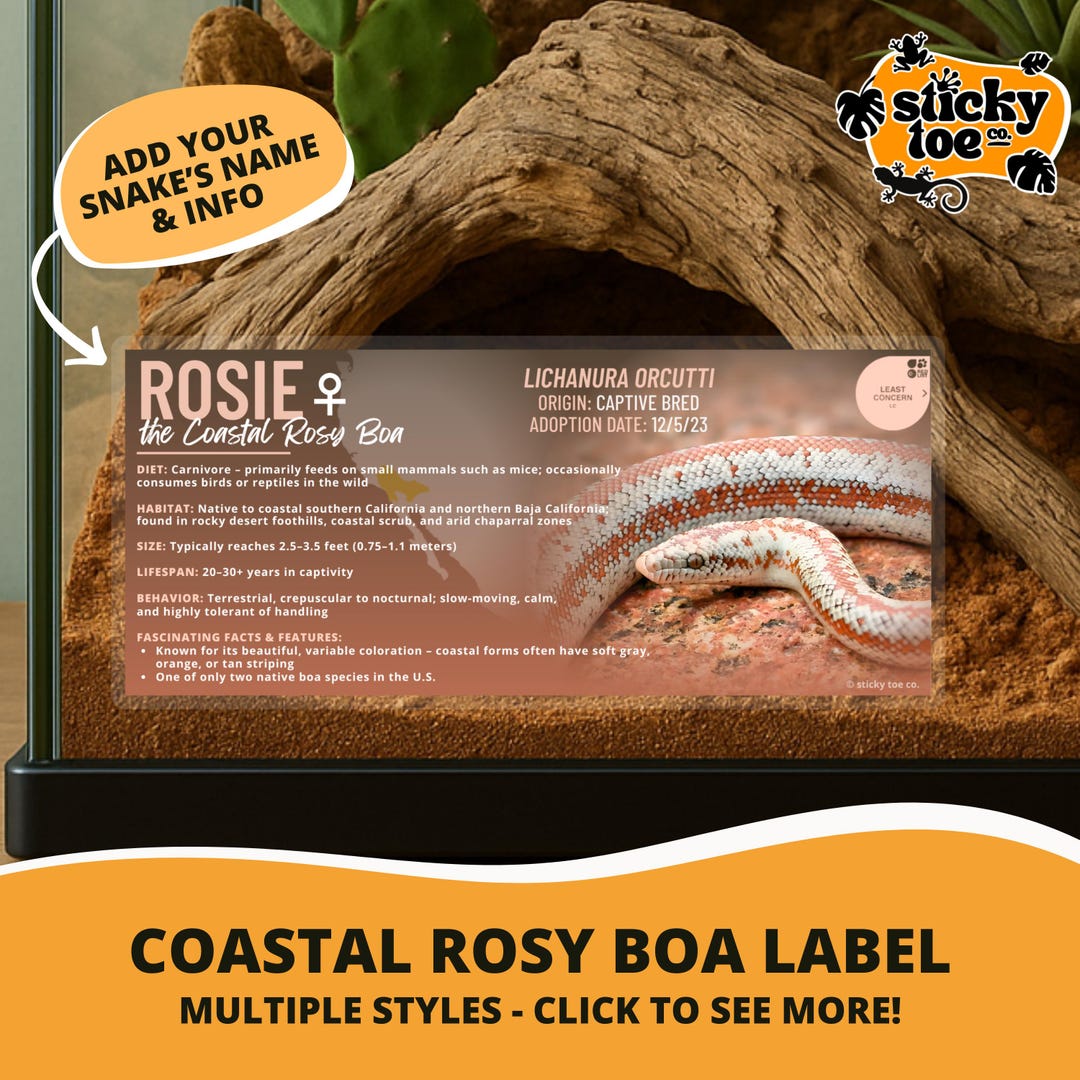 Custom Coastal Rosy Boa Label – Laminated Enclosure Tag for Lichanura ...