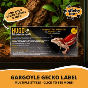 Custom Gargoyle Gecko Label – Laminated Enclosure Tag for Rhacodactylus auriculatus – Multiple Styles & Customization Options