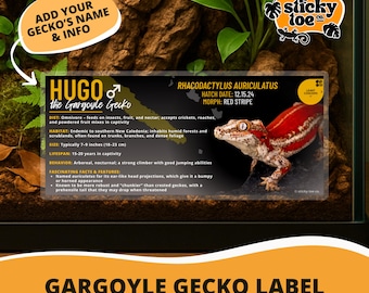 Custom Gargoyle Gecko Label – Laminated Enclosure Tag for Rhacodactylus auriculatus – Multiple Styles & Customization Options