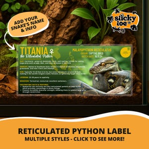 May include: A reticulated python label with the name "Titania" and information on the snake's diet, habitat, size, and behavior. The label includes the text "Add your snake's name & info" and "Multiple styles - click to see more!"