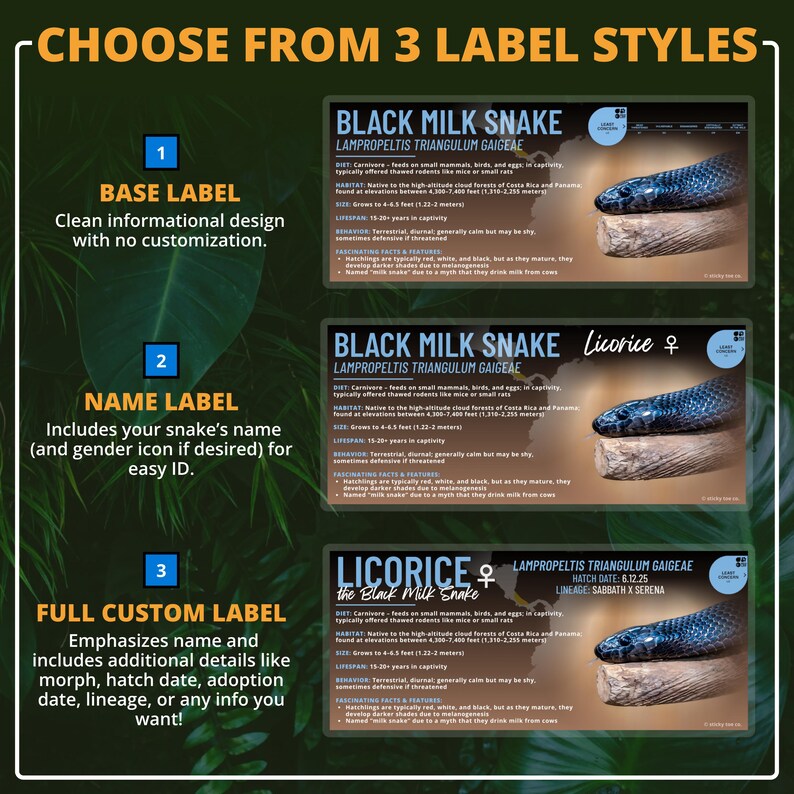 Custom Black Milk Snake Label – Laminated Enclosure Tag for ...
