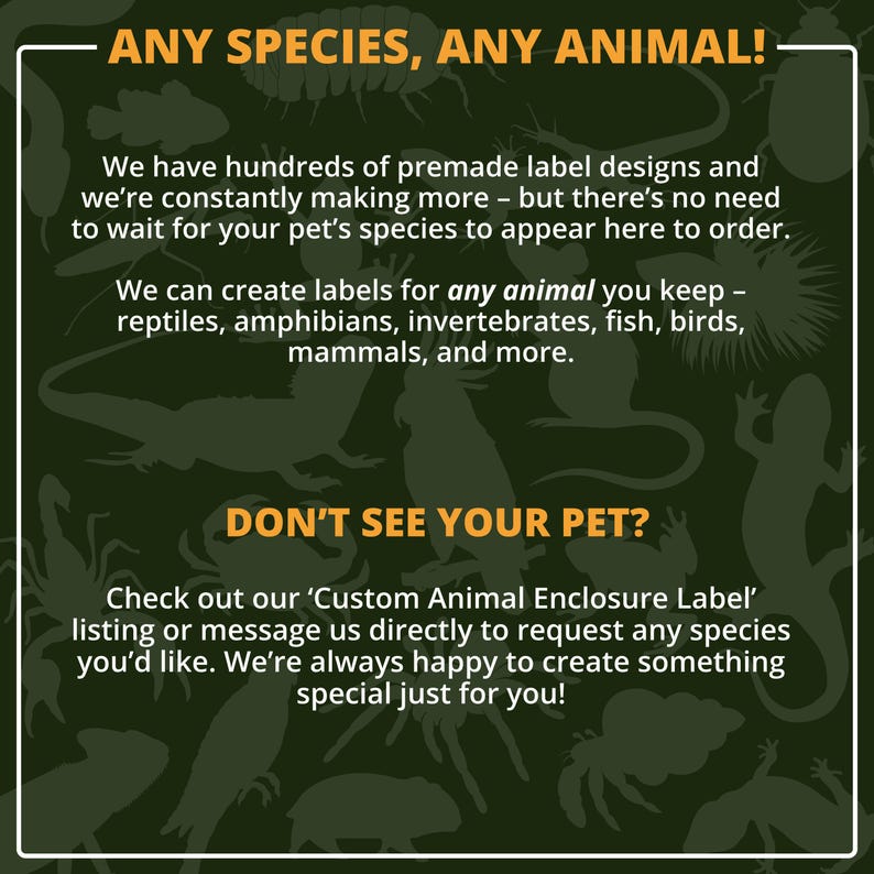 Custom Brazilian Rainbow Boa Label – Laminated Enclosure Tag for ...