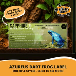 May include: A label for an Azureus Dart Frog, featuring a vibrant blue frog with black spots. The label includes the frog's name, Sapphire, and details about its diet, habitat, and size (1.5-2 inches). The text "Azureus Dart Frog Label" is also present.