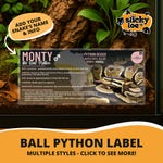 Python Accessories