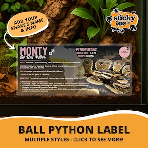 Custom Ball Python Label – Laminated Enclosure Tag for Python regius – Multiple Styles Available