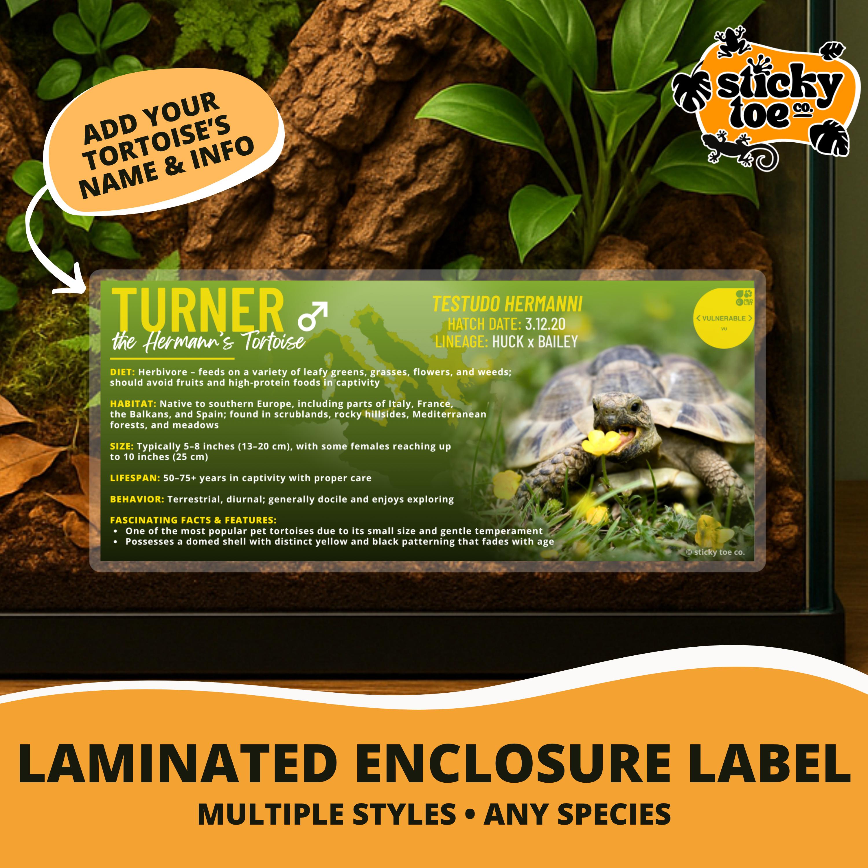 Sulcata Tortoise Tortoise Enclosure Decor Tortoise Enclosure Decor