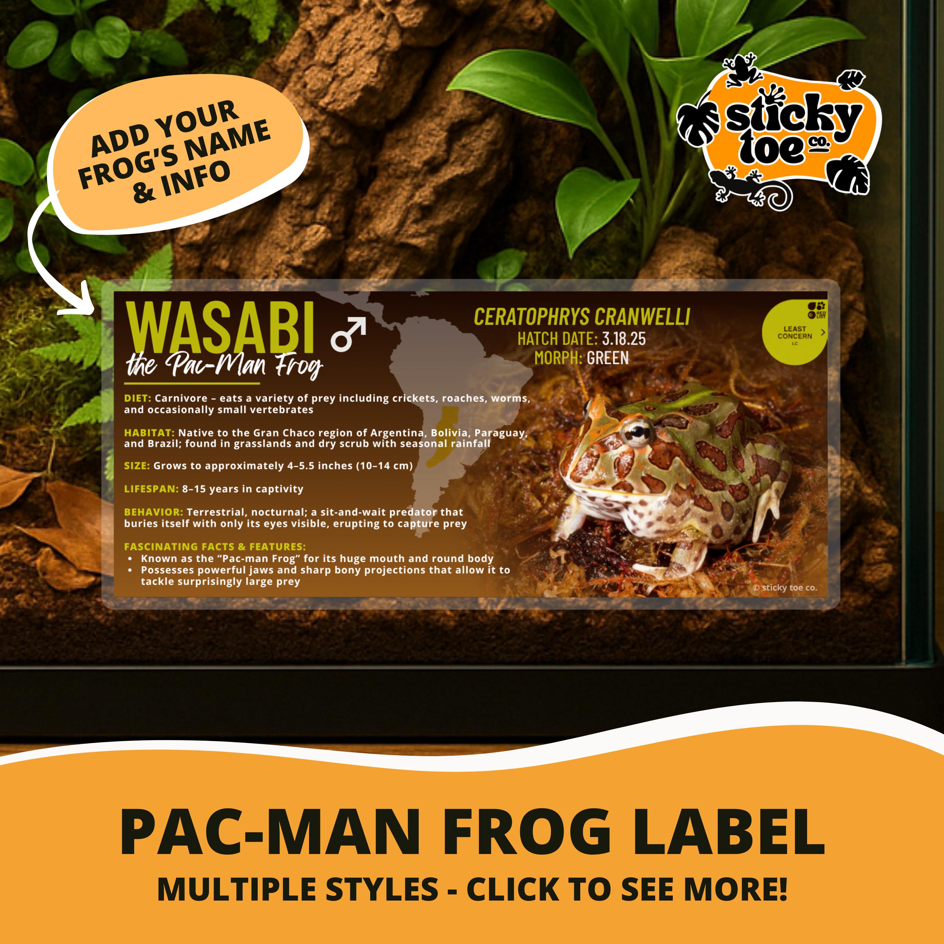 Custom Pac-man Frog Label – Laminated Enclosure Tag for