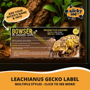 May include: A Leachianus Gecko label with the name "Bowser" and information about the gecko's diet, habitat, size (14-17 inches), and lifespan. The label also includes the text "Leachianus Gecko Label" and "Multiple Styles - Click to See More!"
