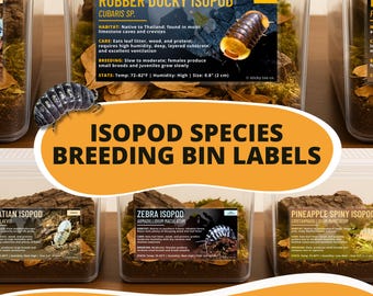 Isopod Bin Labels – Laminated Species Labels for Isopod Colonies