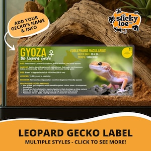 May include: A leopard gecko label with the name "Gyoza" and a picture of a tangerine morph gecko. The label includes information about the gecko's diet, habitat, size (8-10 inches), lifespan, and behavior. The label also has the text "Leopard Gecko Label" and "Multiple Styles - Click to see more!"