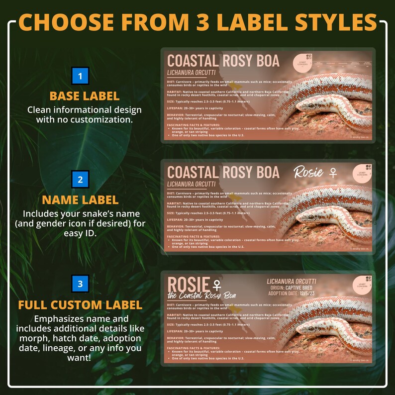 Custom Coastal Rosy Boa Label – Laminated Enclosure Tag for Lichanura ...