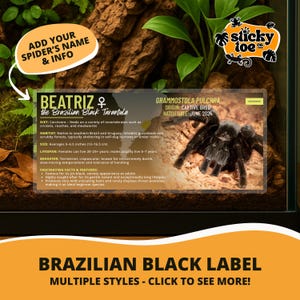 Custom Brazilian Black Tarantula Label – Laminated Enclosure Tag for Grammostola pulchra – 3 Customization Options