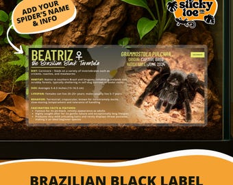 Custom Brazilian Black Tarantula Label – Laminated Enclosure Tag for Grammostola pulchra – 3 Customization Options