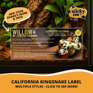 May include: A California Kingsnake label with the name "Willow" and information about the species. The label includes details on diet, habitat, size (3-4 feet), lifespan, and behavior. The image also features a snake.