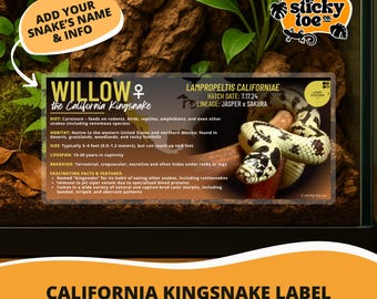 Custom California Kingsnake Label – Laminated Enclosure Tag for Lampropeltis californiae – 3 Customization Options