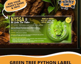 Custom Green Tree Python Label – Laminated Enclosure Tag for Morelia viridis – 3 Customization Options