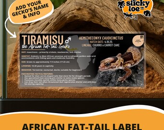 Custom African Fat-Tail Gecko Label – Laminated Enclosure Tag for Hemitheconyx caudicinctus – Multiple Styles & Customization Options
