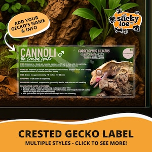 Custom Crested Gecko Label – Laminated Enclosure Tag for Correlophus ciliatus – Multiple Styles Available