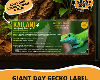 Custom Giant Day Gecko Label – Laminated Enclosure Tag for Phelsuma grandis – 3 Customization Options