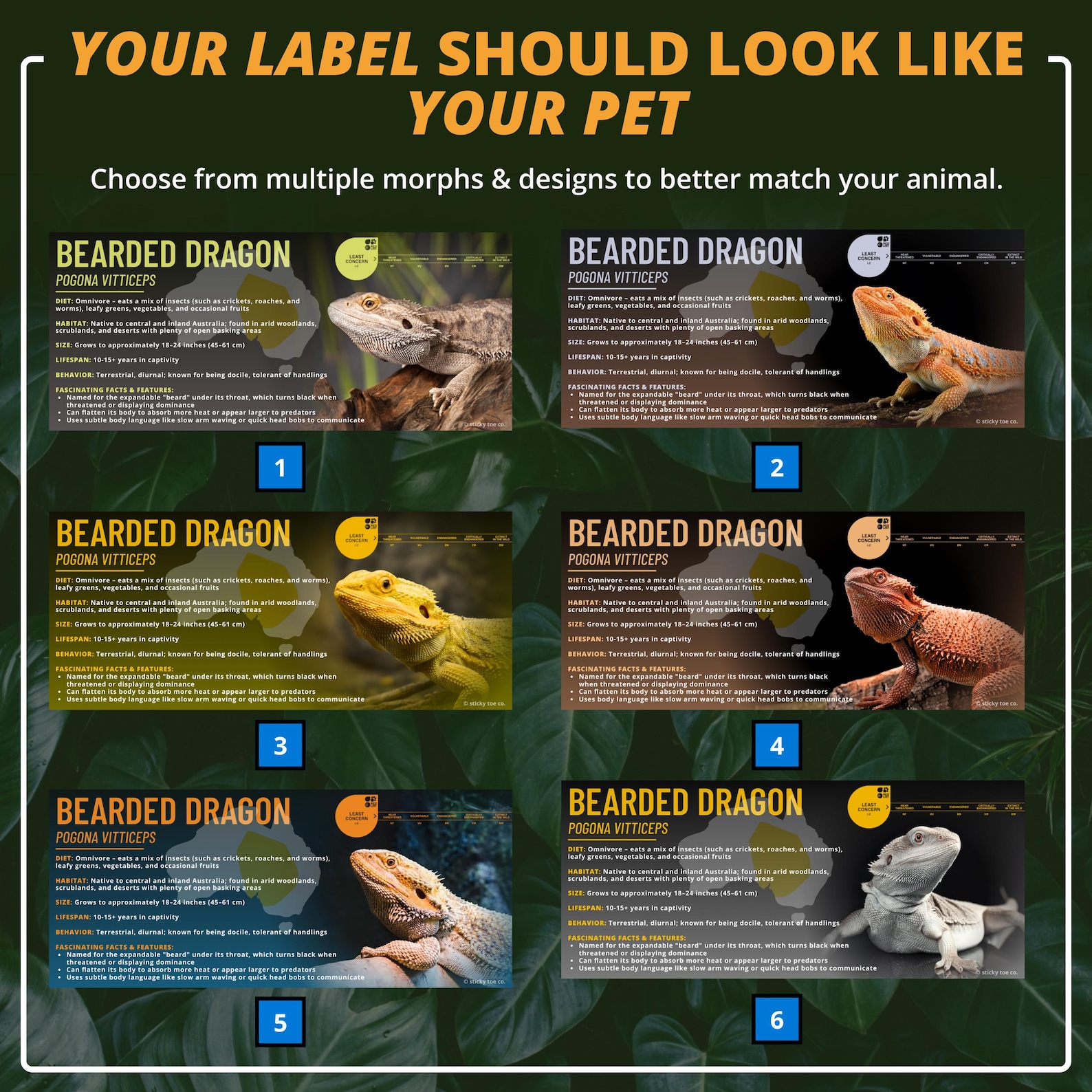 Custom Bearded Dragon Label – Laminated Enclosure Tag for Pogona ...