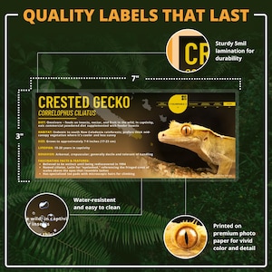 Custom Animal Enclosure Label – Laminated Pet Tag for ANY SPECIES – 3 ...