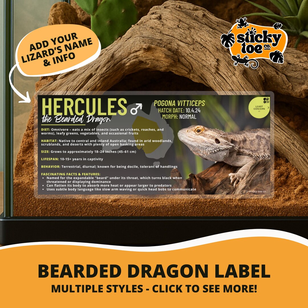 Custom Bearded Dragon Label – Laminated Enclosure Tag for Pogona ...