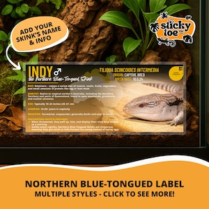 May include: A Northern Blue-Tongued Skink label with the name "Indy" and detailed information about the reptile. The label includes the skink's diet, habitat, size (18-24 inches), lifespan, and behavior. The image also features a blue-tongued skink.