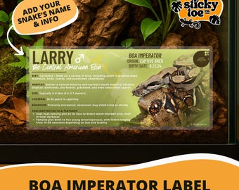 Custom Central American Boa Label – Laminated Enclosure Tag for Boa imperator – 3 Customization Options