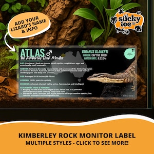 May include: A Kimberley Rock Monitor label with the text "ATLAS the Kimberley Rock Monitor" and information about the Varanus Glauerti species. The label includes details on diet, habitat, size (averages 20-30 inches), lifespan, and behavior.