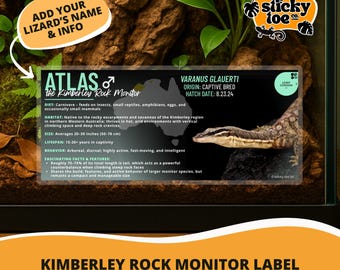 Custom Kimberley Rock Monitor Label – Laminated Enclosure Tag for Varanus glauerti – 3 Customization Options
