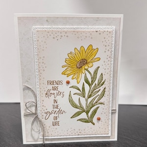 Caro amico, Biglietto d'auguri, Semplicemente perché, Buon compleanno, Ti penso, Floreale, Biglietto primaverile ed estivo, Fronte del biglietto a strati, Interno vuoto