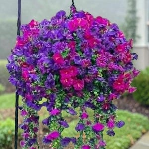 Cesta colgante de flores artificiales, maceta colgante de imitación de color púrpura y fucsia, decoración para porche exterior, resistente a los rayos UV.