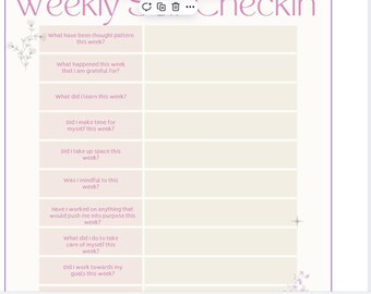 Entradas de indicaciones del diario/Guía