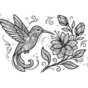 Zentangle Hummingbird Floral SVG | Boho Mandala Bird Cut File (Digital Download)