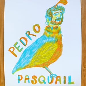 Könnte beinhalten: Bunte Illustration einer vogelähnlichen Figur mit menschlichem Gesicht, beschriftet mit "PEDRO PASQUAIL". Das Kunstwerk verwendet Blau-, Gelb- und Orangetöne, mit einem federartigen Detail auf dem Kopf. Der Stil erinnert an Volkskunst.