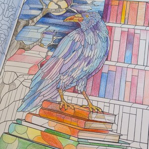 Fantasymålarbok för vuxna A4 • 40 originalillustrationer • Tjockt 200gsm papper bild 8