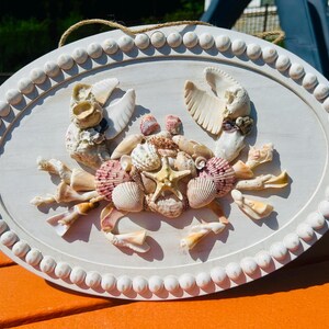 Crab shell picture