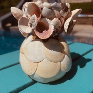 Seashell vase