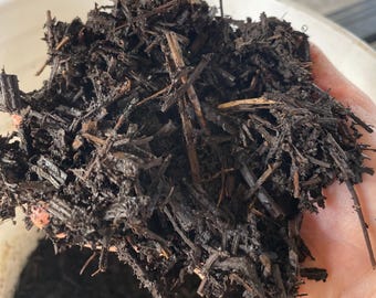 100% Mint Compost Soil