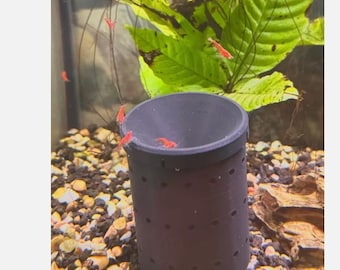Trampas para camarones Neocaridina Cherry: eficaz trampa para camarones de acuario, fácil de usar