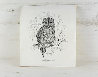 Vintage Tawny Owl Black and White Pen Drawing - Wall Art Decor British Wildlife B. J Clemence