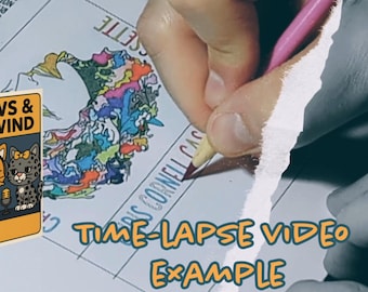 Time-Lapse Video Service Upgrade for Paws & Rewind Cassette Order (Read Description)