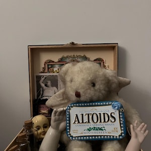 May include: A wooden box contains a vintage teddy bear holding an Altoids tin. The tin is white and blue with the words "Altoids" and "Wintergreen." Other items include a doll head, small bottles, and a vintage photograph.