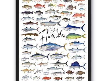Fish of Florida Poster, Florida Fish Poster, Fish Wall Art, Gift for Fisherman