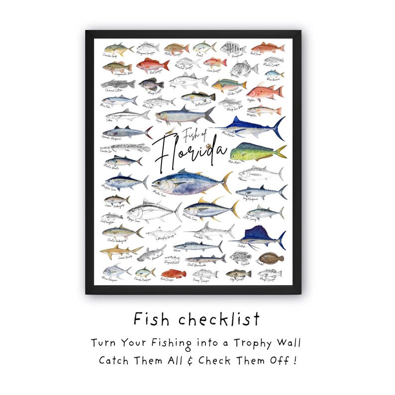 Florida Fishing Checklist, Fish Sticker, Fish Home Art, Saltwater Fish ...