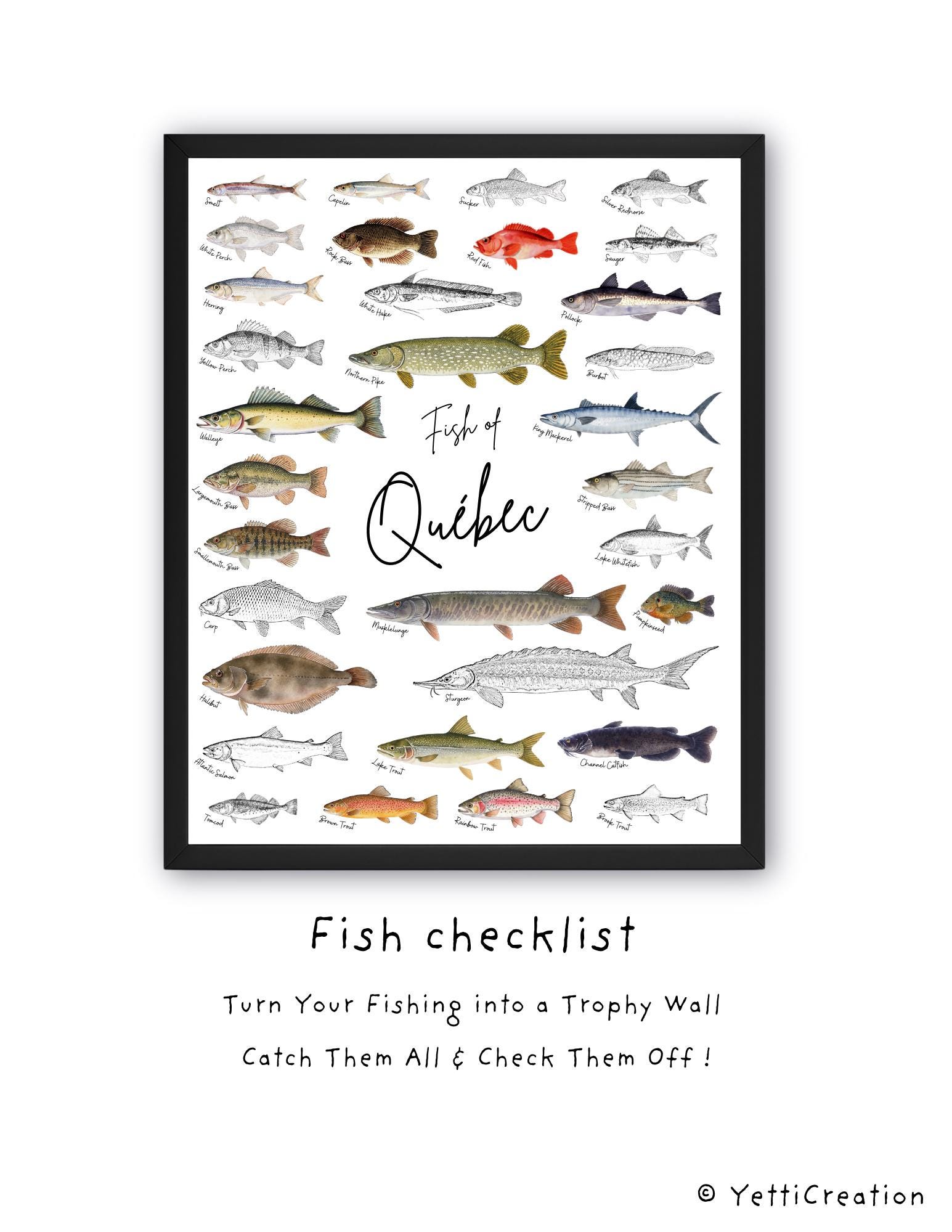 Quebec Fishing Checklist Poster, Quebec Fishing, Fish Sticker, Fish ...